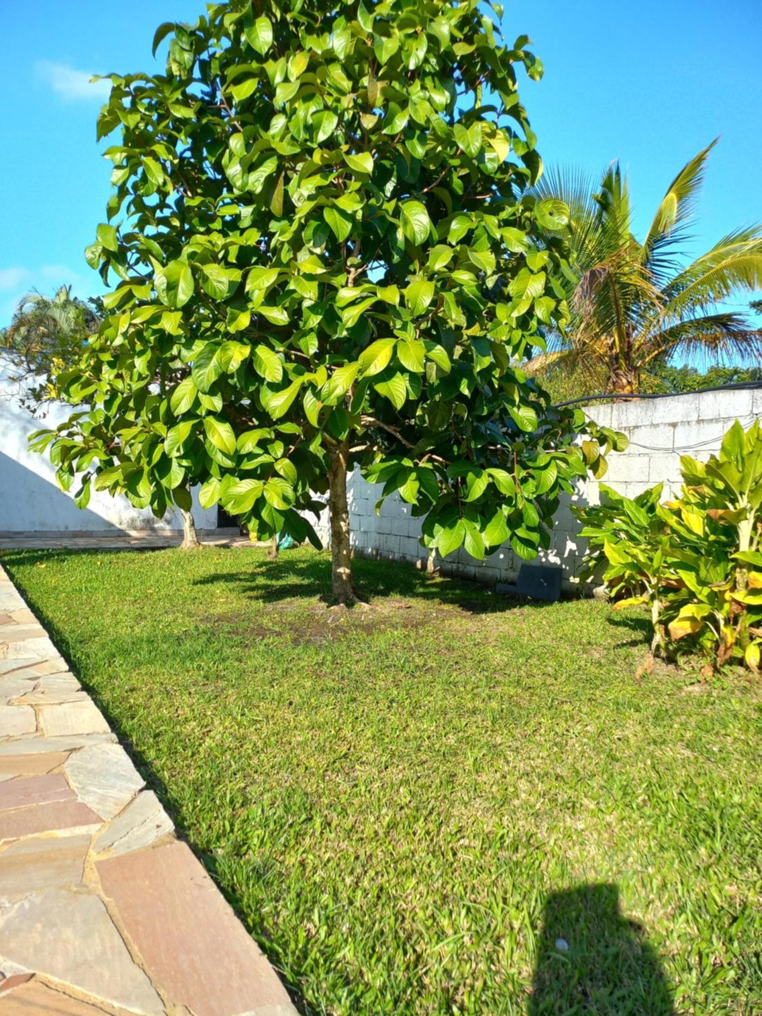 Chacara Sitio Casa Holiday home *